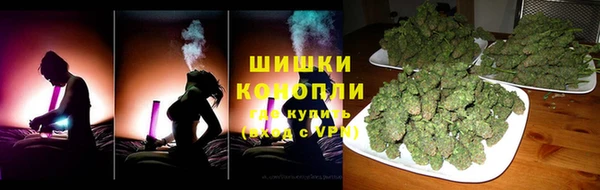 молекула духа Белоозёрский