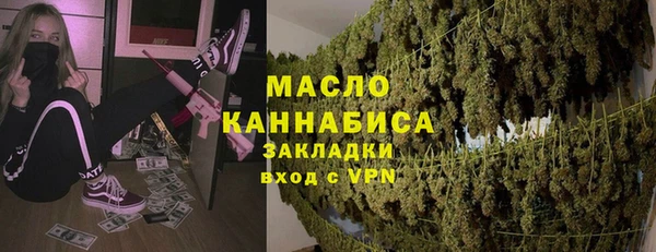 гидра Покачи