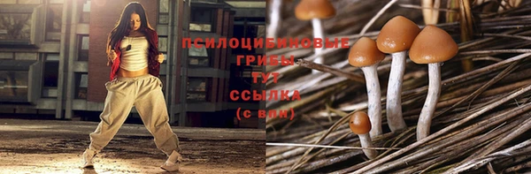 a pvp Беломорск