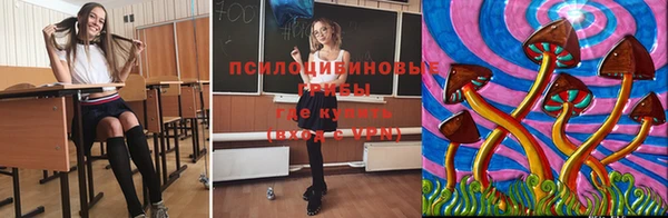 молекула духа Белоозёрский